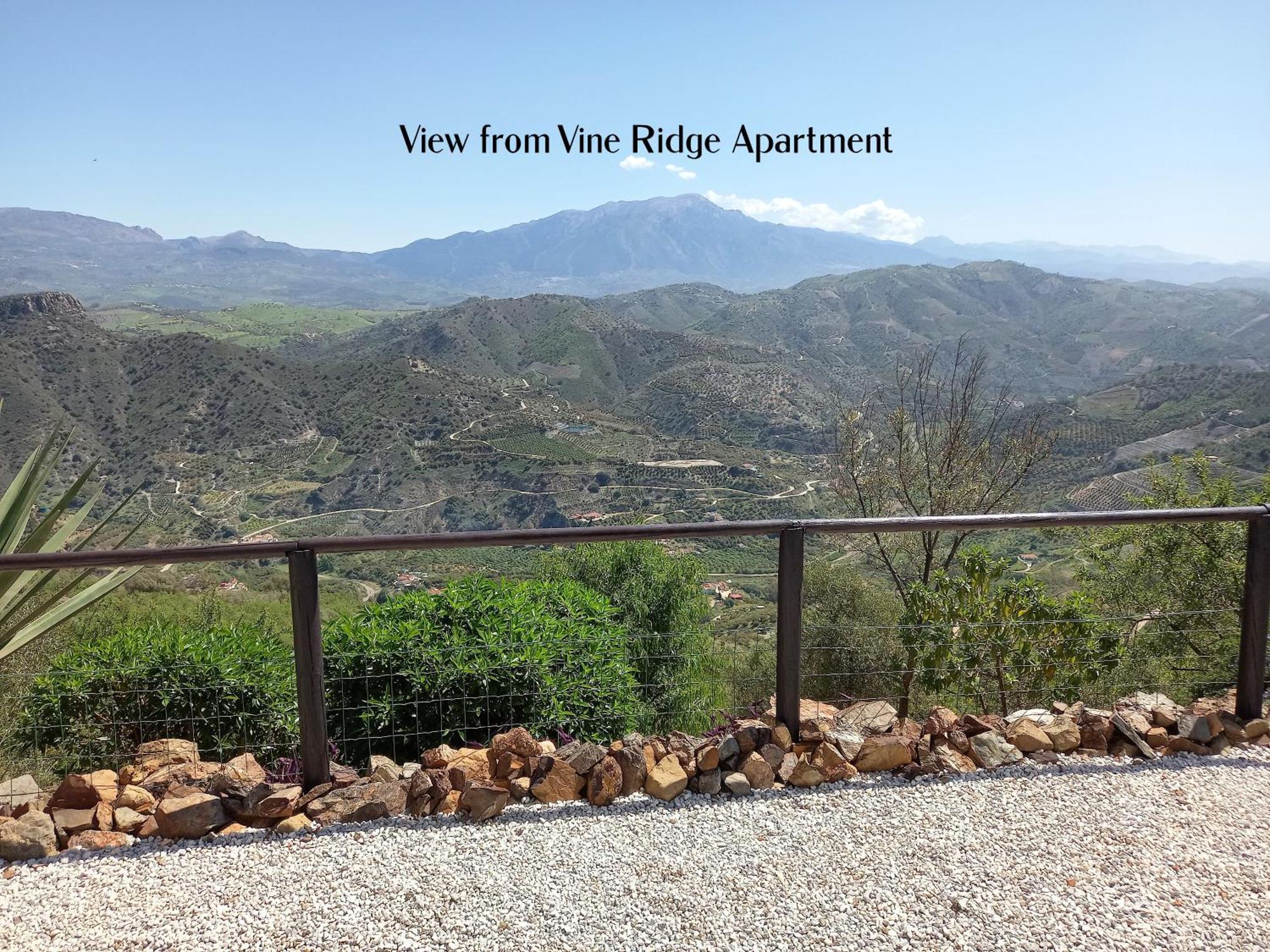Vine Ridge Studio And Apartment Comares Exterior foto